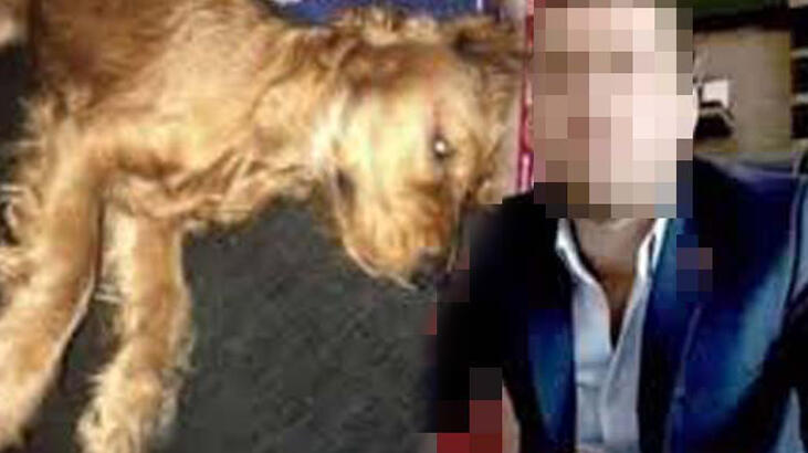 Emanet edilen köpeğe cinsel istismar iddiasında iddianame düzenlendi Emanet edilen köpeğe cinsel istismar iddiasında iddianame düzenlendi