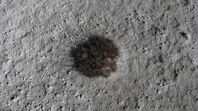 Reuters Türkiye’den fotoğrafları geçti! Dünya izliyor…