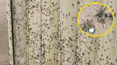 Cehennemin kapısı açıldı!