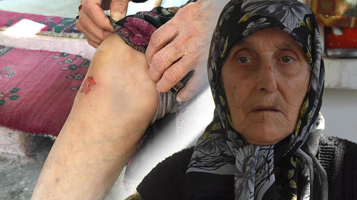 Odun satıcısı görünümündeki kişiler yaşlı kadını gasp etti!