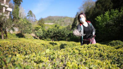 Karadeniz’de yeni tehlike