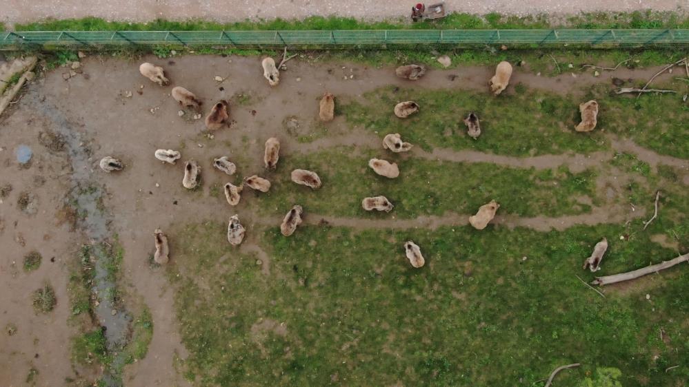 Türkiye’de sadece Bursa’da… Özel besinlerle kutladılar Türkiye’de sadece Bursa’da… Özel besinlerle kutladılar