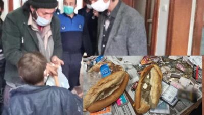 Ekmek arasından çıktı! Gören şaşkına döndü