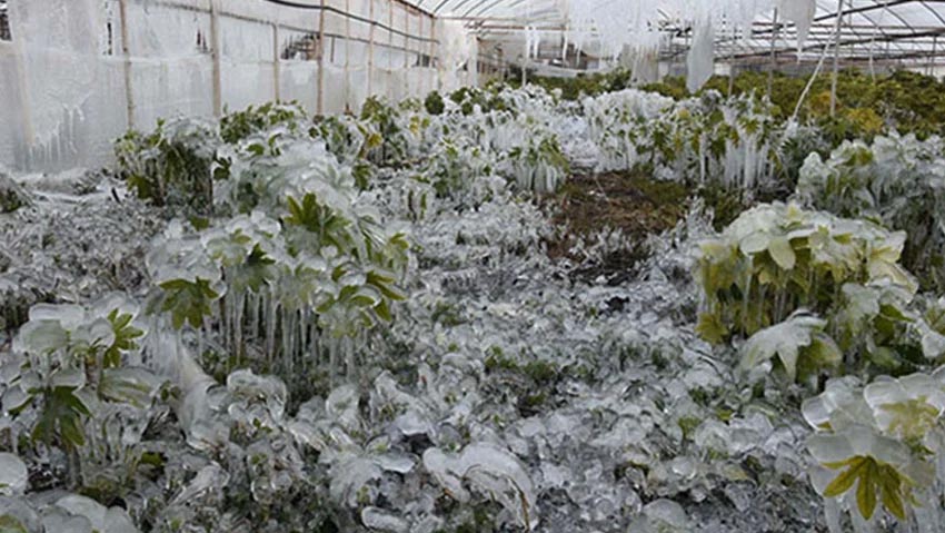 Bir ilimiz için kritik uyarı! Bugün akşam saatlerinde…