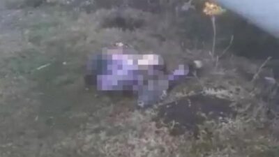 Hamile kadın yol kenarında korkunç halde bulundu!