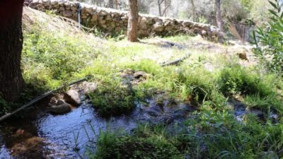 Şaşkına çeviren olay! 33 yıl bedava kullanmışlar