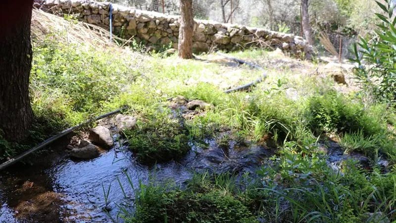 Şaşkına çeviren olay! 33 yıl bedava kullanmışlar