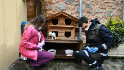 Kedili Tekke’nin maskotları çok sevildi
