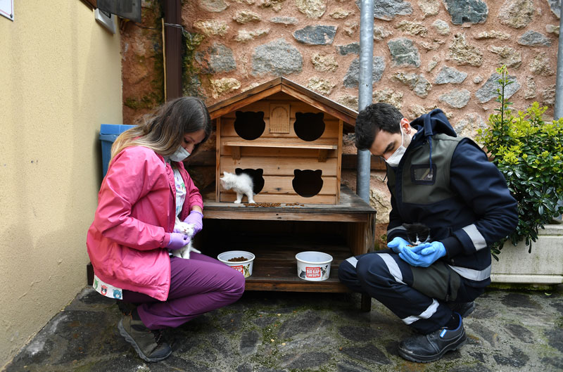 Kedili Tekke’nin maskotları çok sevildi