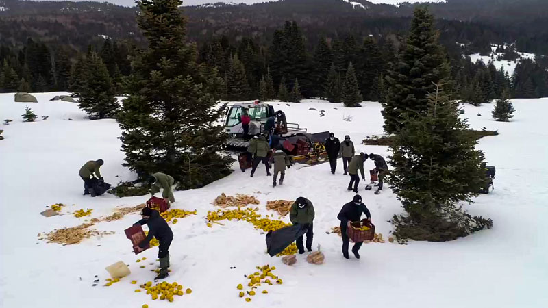 Uludağ Milli Parkı’nda yaban hayvanlarına yem bırakıldı