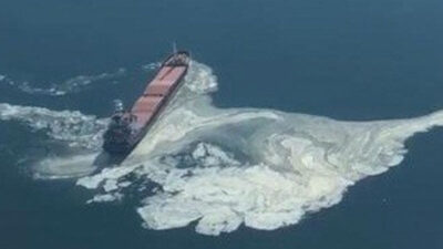 Gemlik Körfezi’ndeki o görüntünün sebebi belli oldu