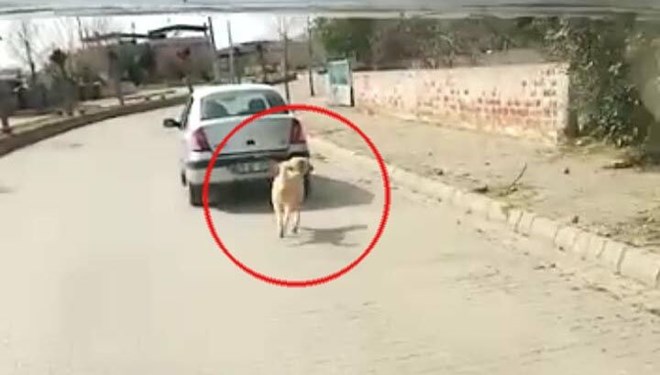 Tepki çeken görüntü