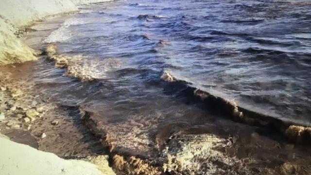 Deniz kirliğinin nedeni belli oldu