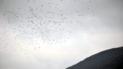 Bursa’da görsel şölen! Binlercesi geldi…