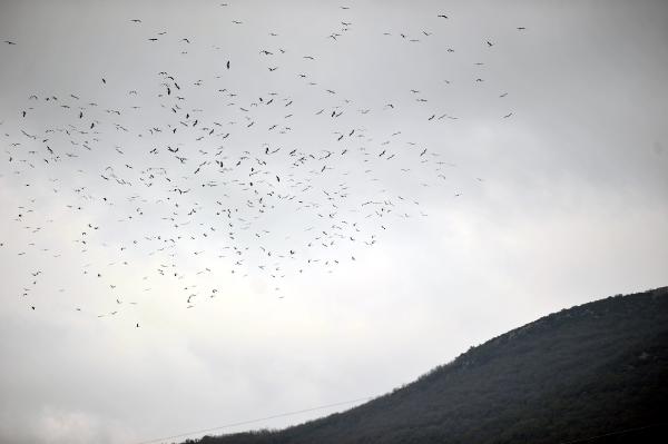 Bursa’da görsel şölen! Binlercesi geldi… Bursa’da görsel şölen! Binlercesi geldi…