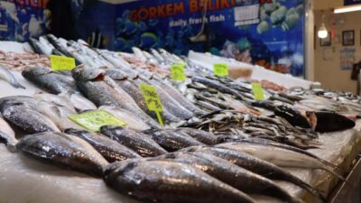 Tezgahlarda hamsinin yerini diğer çeşitler aldı