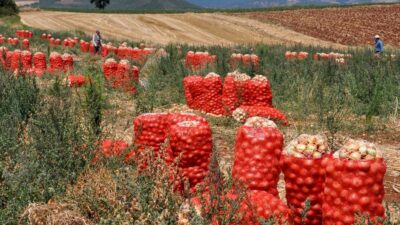 Bursa’da tarımda da atıklar sıfırlanıyor