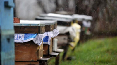 Bursa’da endişelendiren olay! Ölümler arttı