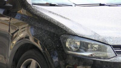 Çamur yağmurunun sebebi belli oldu