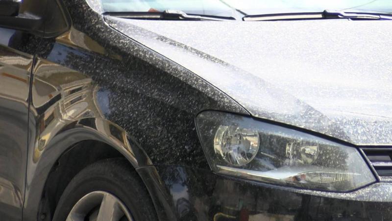 Çamur yağmurunun sebebi belli oldu Çamur yağmurunun sebebi belli oldu