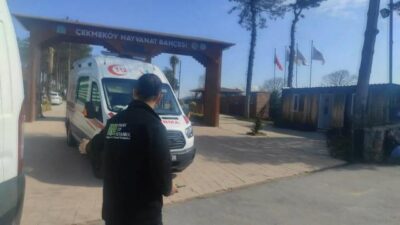 Hayvanat bahçesinde silahlı kavga: 2 ölü, 1 yaralı