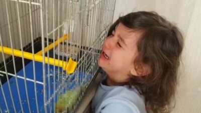 Bursa’da muhabbet kuşu ölen minik Defne’yi teselli etmek mümkün olmadı