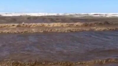 Deniz siyaha boyandı, inceleme başlatıldı