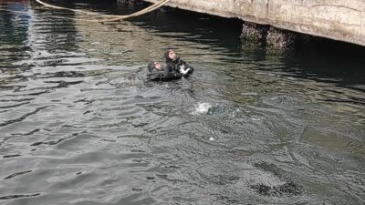 Bursa’da denizde mahsur kalan kediye nefes kesen operasyon