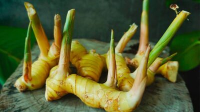 Bağışıklıktan sperm sayısının artırılmasına kadar onlarca faydası var…