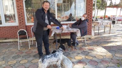 İznik’te köpeklere kuduz aşısı