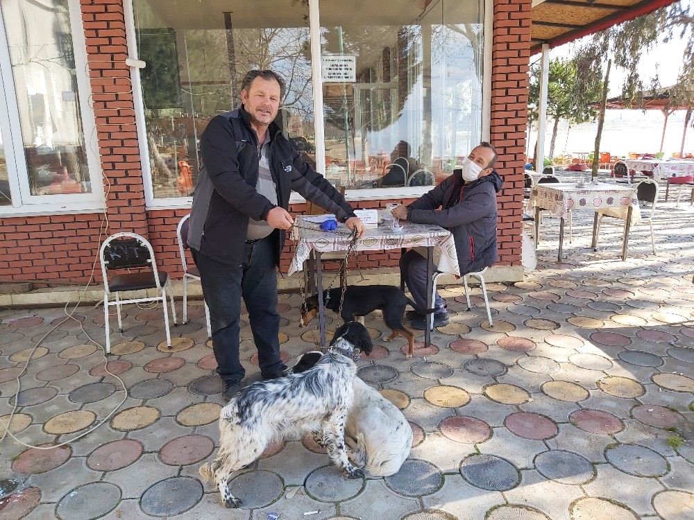 İznik’te köpeklere kuduz aşısı