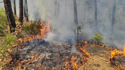 Kütahya’da orman yangını! Çok sayıda ekip sevk edildi