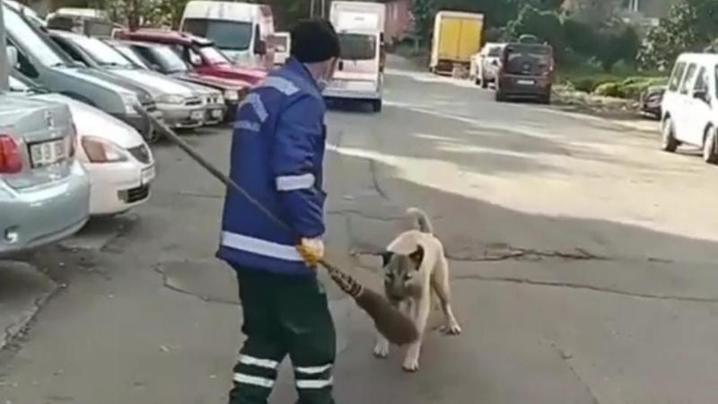 Süpürgesini alan köpeğe böyle seslendi: O bana zimmetli