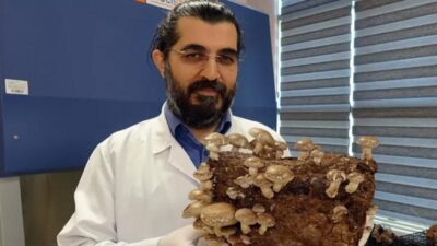 Bin liradan satılıyor, şehir dışından bile gelen var