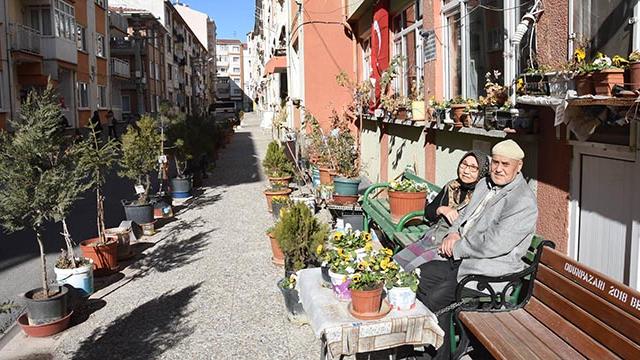 Felçli eşi için sokağı çiçek bahçesine çevirdi