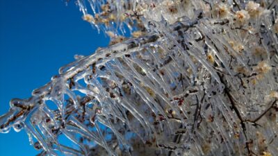 Meteoroloji’den zirai don uyarısı