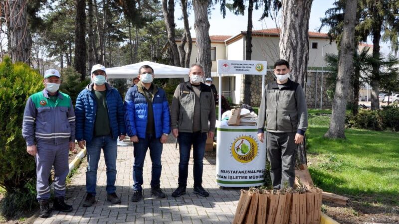 Bursa’da ücretsiz dağıtıldı! Mustafakemalpaşa Orman İşletme Müdürlüğü, her yıl Orman Haftasında gerçekleştirdiği fidan