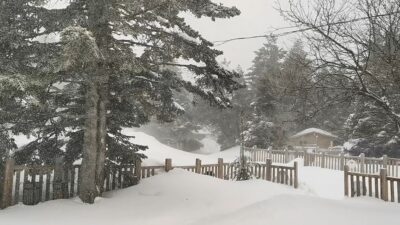Bursa’ya mart karı