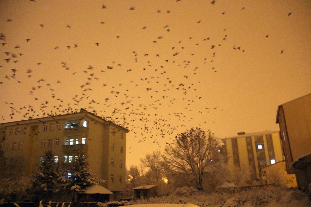 Bu kez gece ortaya çıktılar! Kenti istila ettiler