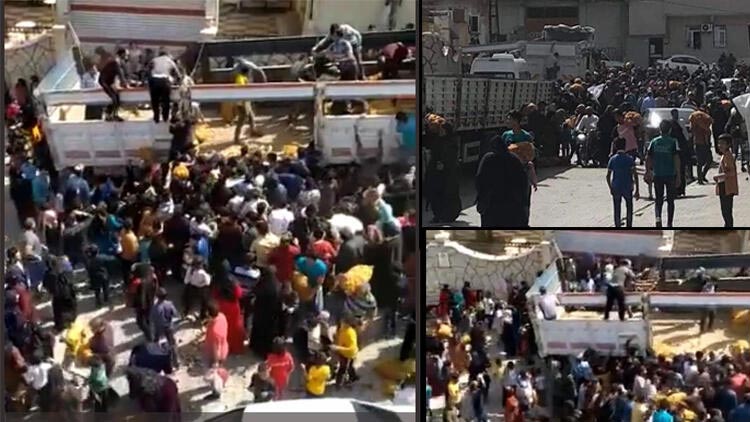 Patates dağıtımında tepki çeken görüntülerle ilgili harekete geçildi!