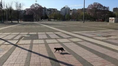 Birkaç haftalık tam kapanma mı geliyor?