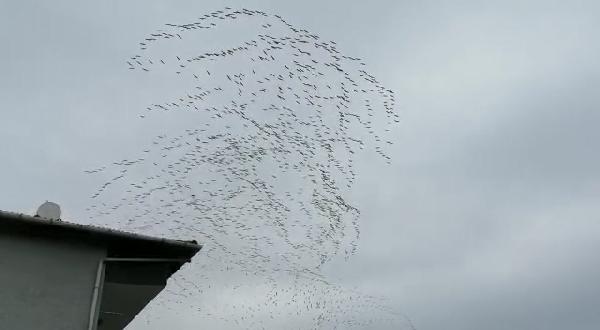 Bursa semalarında görsel şölen Bursa semalarında görsel şölen