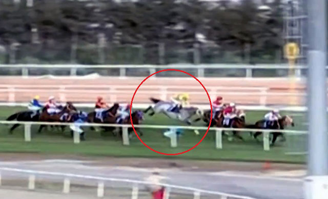 At yarışında feci kaza! 3 jokey ve bir apranti hastaneye kaldırıldı