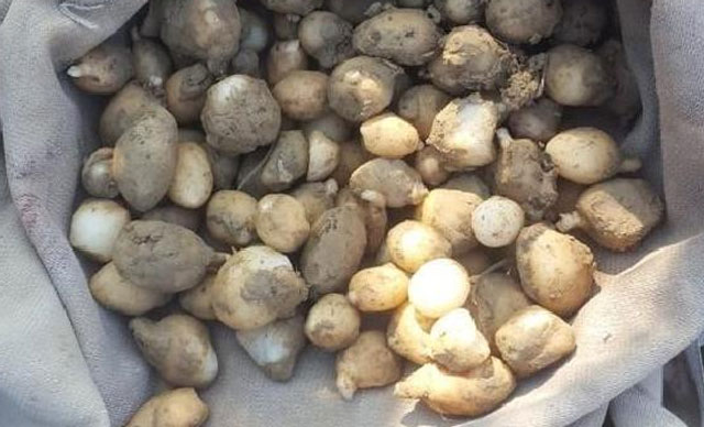 Toplanması yasaktı, suçüstü yakalandılar! 724 bin lira ceza…