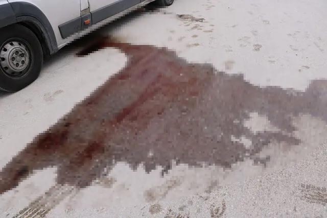 Kamyonetten sızan kan alarma geçirdi! Gerçek sonradan ortaya çıktı