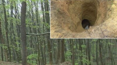 Görenler inanamadı! Ormanı delik deşik etmişler