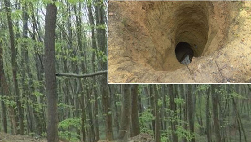 Görenler inanamadı! Ormanı delik deşik etmişler