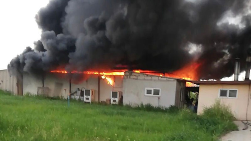 Çekirge üretim merkezinde yangın