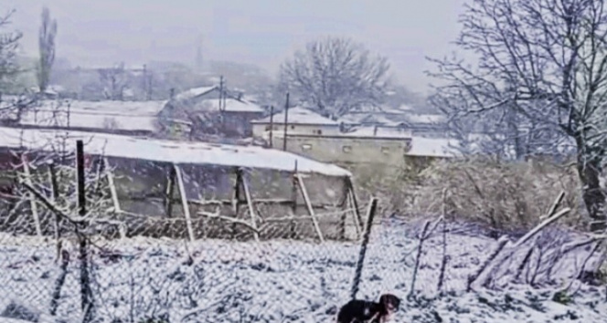Bekleniyordu! Ülkeye giriş yaptı