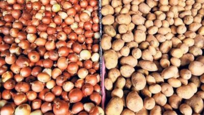 Üreticilerden patates ve kuru soğan alımına başlandı